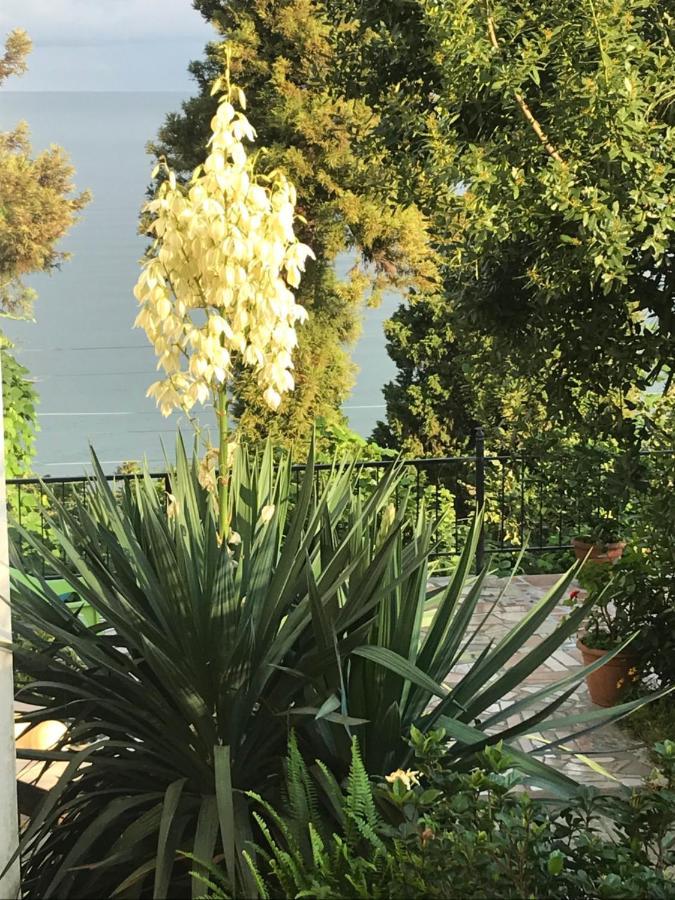 Feride Otel Makhinjauri Dış mekan fotoğraf