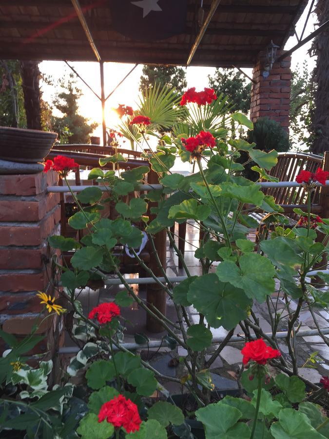 Feride Otel Makhinjauri Dış mekan fotoğraf