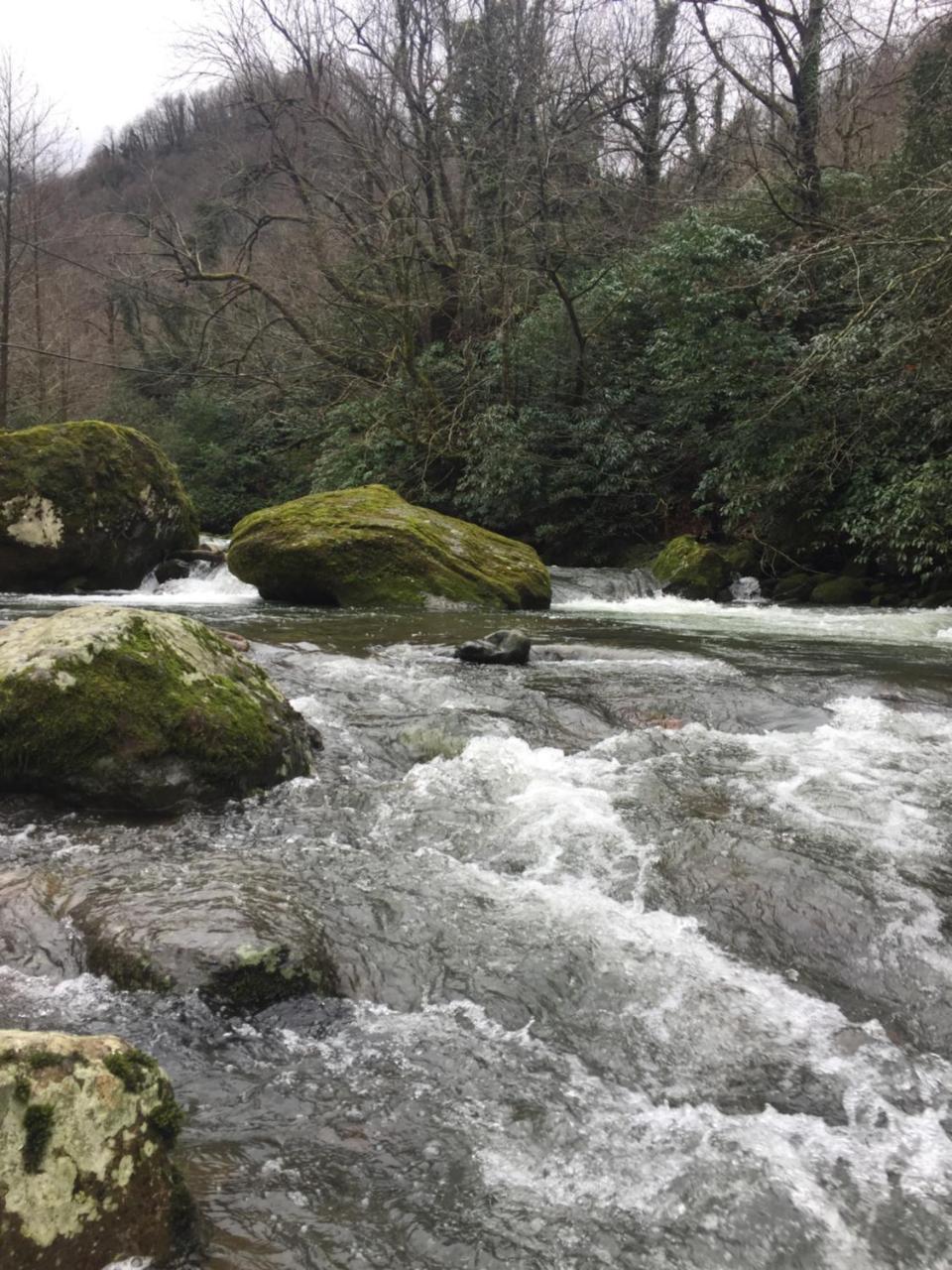 Feride Otel Makhinjauri Dış mekan fotoğraf